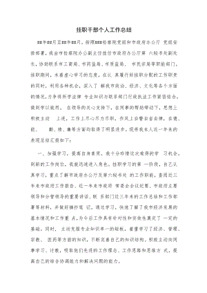挂职干部个人工作总结.docx