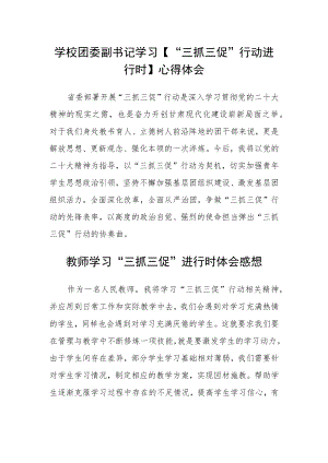 （共三篇）学校团委副书记学习【“三抓三促”行动进行时】心得体会.docx