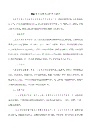 2023年生态环境保护执法计划.docx