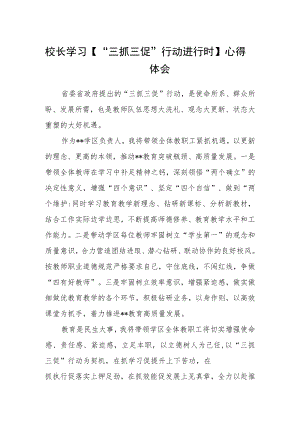（共三篇）校长学习【“三抓三促”行动进行时】心得体会.docx