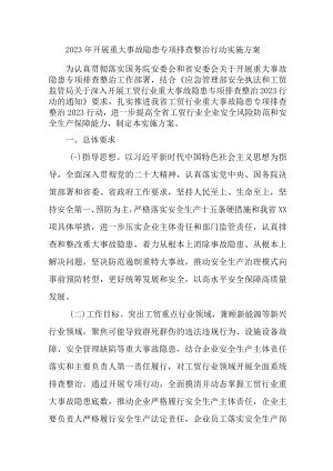 国企单位2023年开展重大事故隐患专项排查整治行动方案.docx