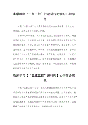 （共三篇）小学教师“三抓三促”行动进行时学习心得感想.docx
