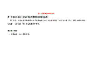 出口退税备案操作流程.docx