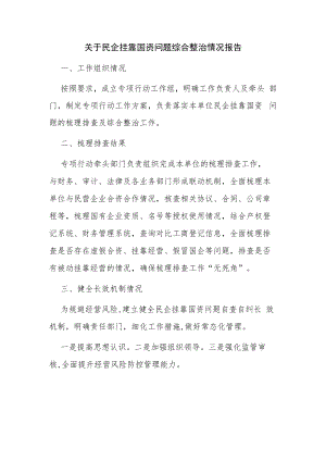 关于民企挂靠国资问题综合整治情况报告.docx