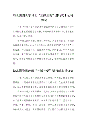 （共三篇）幼儿园园长学习【“三抓三促”进行时】心得体会.docx