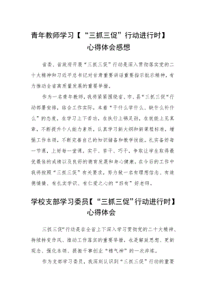 （共三篇）青年教师学习【“三抓三促”行动进行时】心得体会感想.docx