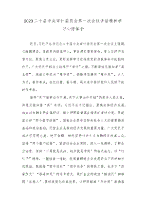 2023二十届中央审计委员会第一次会议讲话精神学习心得体会.docx