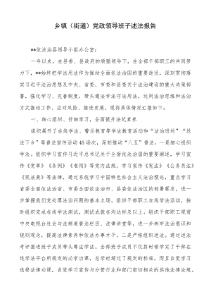 乡镇（街道）党政领导班子述法报告.docx
