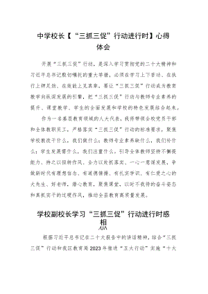 （共三篇）中学校长【“三抓三促”行动进行时】心得体会.docx