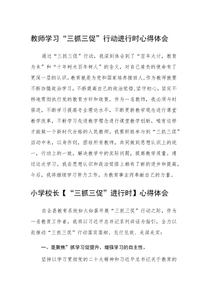 （共三篇）教师学习“三抓三促”行动进行时心得体会范文.docx