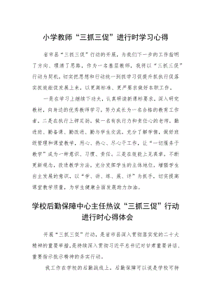 （共三篇）小学教师“三抓三促”进行时学习心得.docx