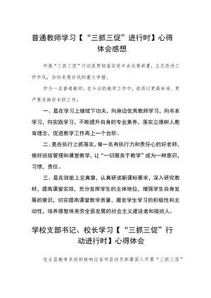 （共三篇）普通教师学习【“三抓三促”进行时】心得体会感想.docx