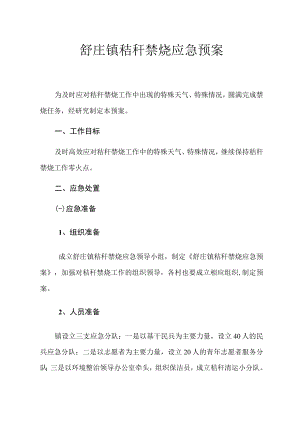舒庄镇秸秆禁烧应急预案.docx