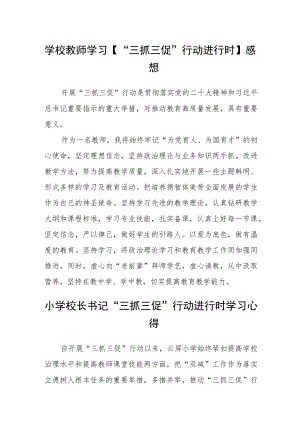 （共三篇）学校教师学习【“三抓三促”行动进行时】感想.docx