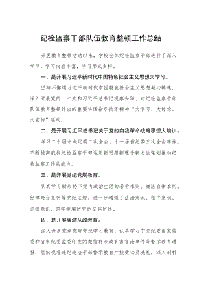 （共三篇）纪检监察干部队伍教育整顿工作总结范文.docx