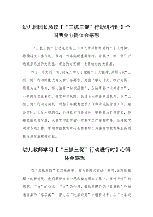 （共三篇）幼儿园园长热议【“三抓三促”行动进行时】全国两会心得体会感想.docx
