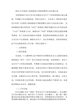 煤矿企业2023年开展重大事故隐患专项排查整治行动实施方案 （合计8份）.docx