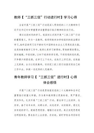 （共三篇）教师【“三抓三促”行动进行时】学习心得.docx