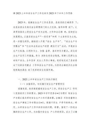 2023上半年乡镇安全生产工作总结及2023年下半年工作思路.docx