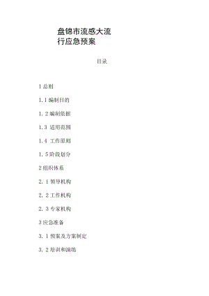 盘锦市流感大流行应急预案.docx
