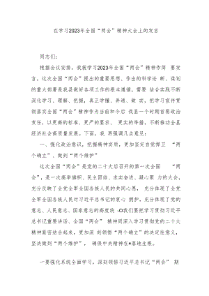 在学习2023年全国“两会”精神大会上的发言.docx