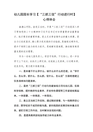 （共三篇）幼儿园园长学习【“三抓三促”行动进行时】心得体会范文.docx