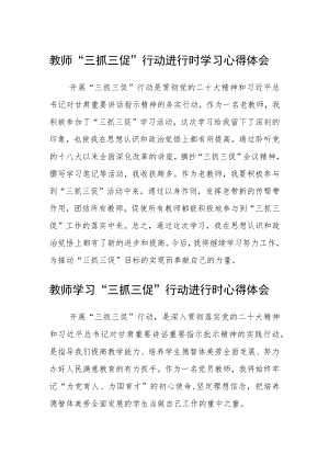 （共三篇）教师“三抓三促”行动进行时学习心得体会.docx