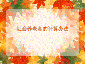 社会养老金计算办法.ppt