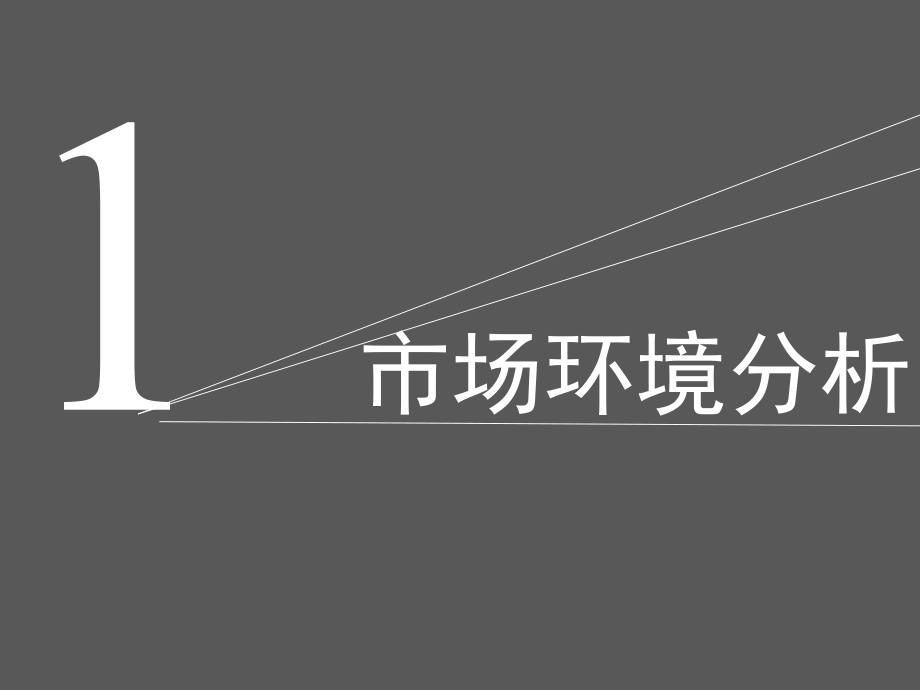 某地块定位及前期策划方案.ppt_第3页