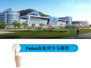 0404Padua血栓评分.ppt