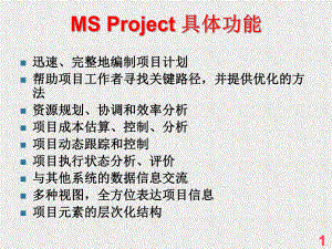 MSProject操作说明.ppt