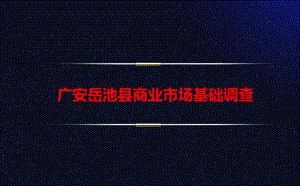岳池县市场调查报告.ppt