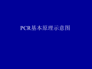 PCR基本原理示意图.ppt