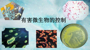 有害微生物的控制.pptx