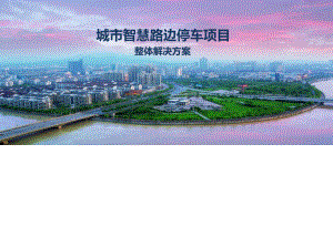 智慧路边停车管理系统方案.pptx