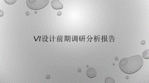 Vi设计前期调研分析报告.pptx