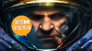 暴雪企业文化.pptx