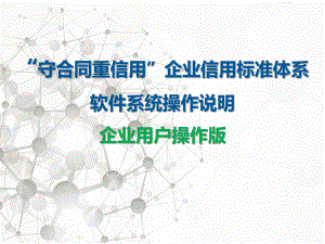 国家级操作手册.pptx