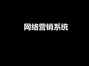 网络营销系统.pptx