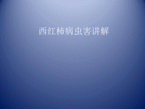 西红柿病虫害防治.pptx