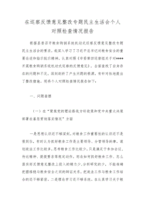 在巡察反馈意见整改专题民主生活会个人对照检查情况报告.docx