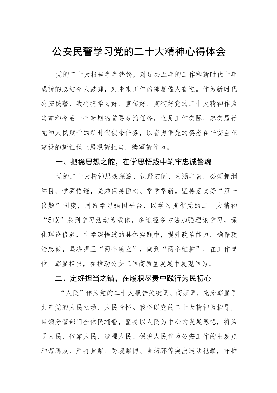 公安民警学习党的二十大精神心得体会(3篇)范文.docx_第1页