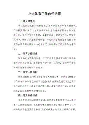 小学体育工作自评结果.docx