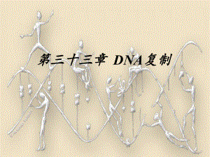 生物竞赛生物化学33DNA复制顶级资源《生物化学原理(第二版)(三)》.ppt
