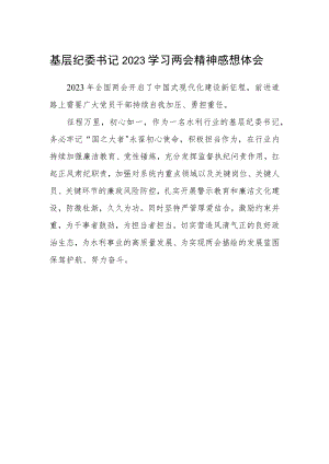 基层纪委书记2023学习两会精神感想体会.docx
