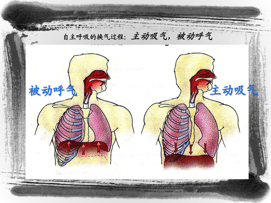 呼吸机使用技巧.ppt_第2页