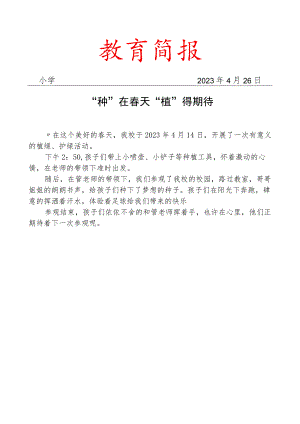 开展种植活动简报.docx