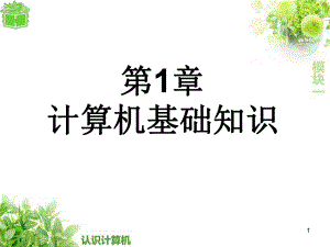 计算机基础PPT.pptx