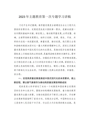 2023年主题教育第一次专题学习讲稿.docx