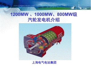 MW发电机介绍.ppt